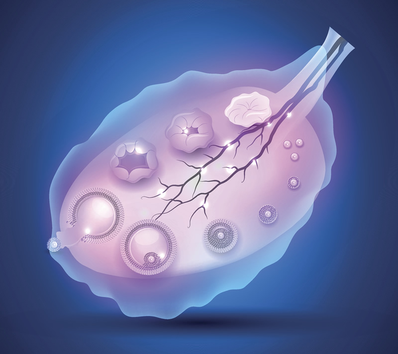 贵阳57岁做试管医院与医生选择：高龄助孕、费用解析及本地机构实力对比